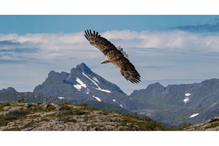 Geoffrey Foster: Master of the mountains